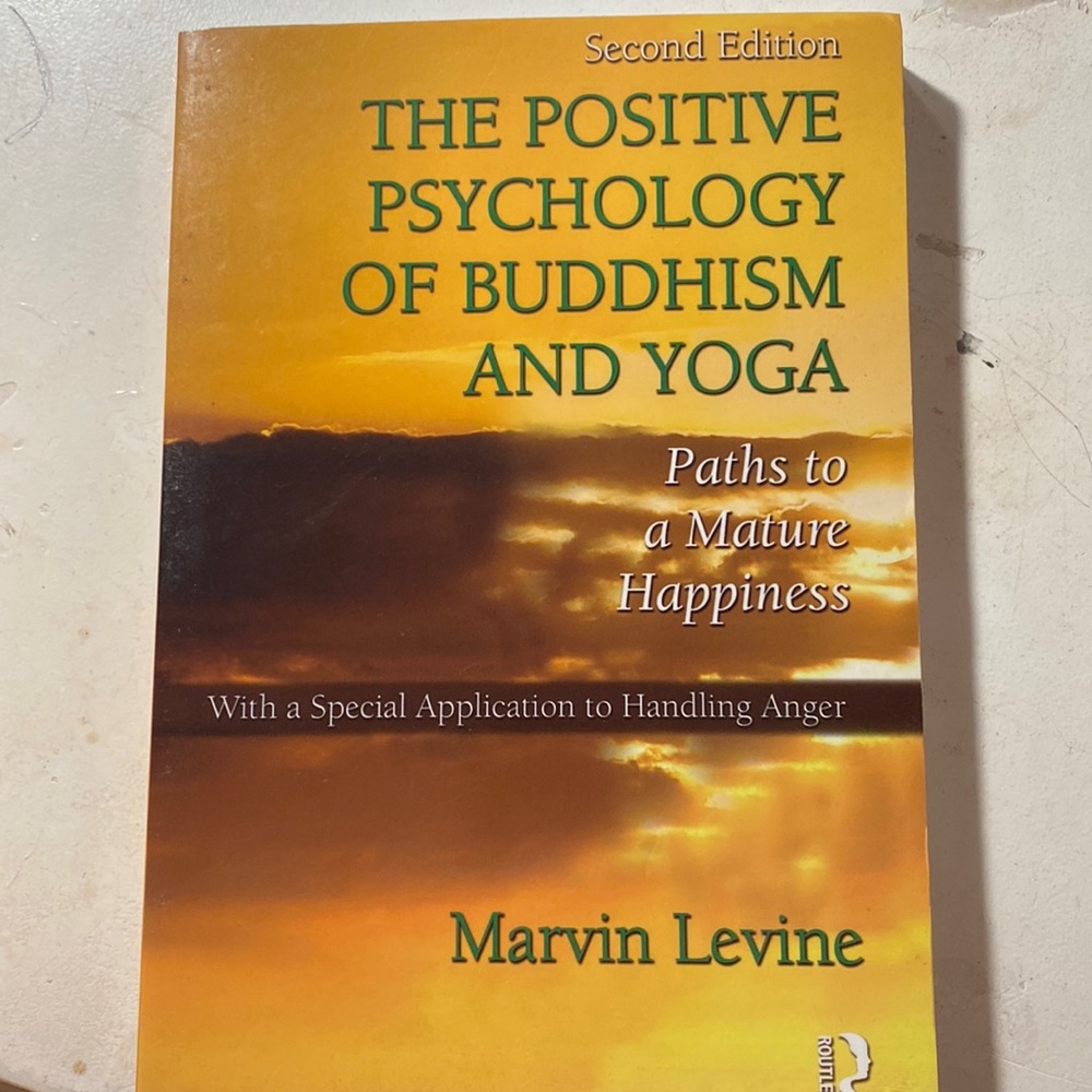 The Positive Psychology of Buddhism and Yoga paperback